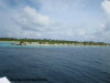 paradise  island  barriera artificiale - zona 6 isole maldive fotografie video informazioni notizie paradise island resort isola di lankanfinolhu atollo di male nord by Anacleto (utente forum maldive anacleto)