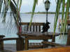 isole maldive foto photo informazioni consigli utili ranveli resort isola di viligilivaru atollo di ari sud by Sara&Manilo ottobre 2004