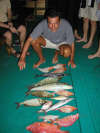 isole maldive foto photo informazioni consigli utili ranveli resort isola di viligilivaru atollo di ari sud by Sara&Manilo ottobre 2004