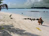 isole maldive foto photo informazioni consigli utili ranveli resort isola di viligilivaru atollo di ari sud by Patrizia Emilio marzo 2005