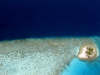 isole maldive foto photo informazioni consigli utili ranveli resort isola di viligilivaru atollo di ari sud by Patrizia Emilio marzo 2005