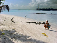 isole maldive foto photo informazioni consigli utili ranveli resort isola di viligilivaru atollo di ari sud by Patrizia Emilio marzo 2005