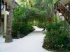 isole maldive fotografie video informazioni consigli utili ranveli resort isola di viligilivaru atollo di ari sud nel febbraio 2008 racconto di Giancarlo (utente forum maldive gc)