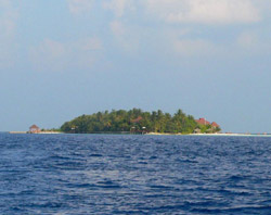 isole maldive fotografie video photo informazioni consigli utili ranveli village resort isola di viligilivaru atollo di ari sud nel febbraio 2008 racconto di Giancarlo (utente forum maldive gc)