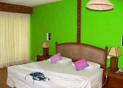 isole maldive fotografie video photo informazioni consigli utili ranveli village resort isola di viligilivaru atollo di ari sud nel febbraio 2008 racconto di Giancarlo (utente forum maldive gc)