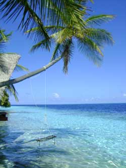 isole maldive fotografie video photo informazioni consigli utili ranveli village resort isola di viligilivaru atollo di ari sud nel ottobre 2008 by fa.marti utente forum maldive fa.marti