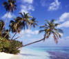 maldive fotografie informazioni consigli utili isole maldive reethi beach resort isola di fonimagoodhoo atollo di baa
