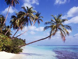 maldive fotografie informazioni consigli utili isole maldive reethi beach resort isola di fonimagoodhoo atollo di baa