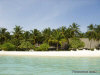 isole maldive fotografie video informazioni rihiveli beach resort isola di mahaana elhi huraa atollo di mal� sud agosto 2008 by Antonella