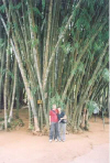 tour dello Sri Lanka agosto 2003 by Cristina&Mirco