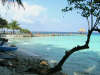 isole maldive foto photo informazioni consigli utili isole maldive taj coral reef resort isola di hembadhoo atollo di male nord by Veronica&Ivan marzo 2005