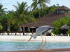 fotografie informazioni consigli utili isole maldive velidhu island resort isola di velidhoo atollo di ari nord by stefy sofia alberto luglio 2005