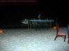 isole maldive fotografie informazioni consigli utili isole maldive velidhu island resort velidu isola di velidhoo atollo di ari nord by Tanya&C nel gennaio 2007