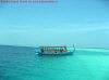 dhoni.jpg (49829 byte)