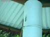 geco.jpg (62741 byte)
