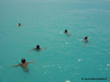 in diretta dalle maldive per www.tuttomaldive.it : primo tuffo alle maldive di claudio amendola e dell'equipaggio di adriatica