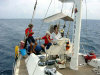 in diretta dalle maldive per www.tuttomaldive.it : patrizio su adriatica