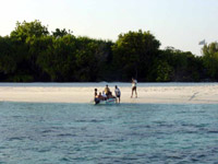 in diretta dalle maldive per www.tuttomaldive.it : velistipercaso sbarco sull' isola deserta 