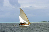 isole maldive velistipercaso : in navigazione tra gli atolli di felidhoo e male