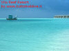 isole maldive fotografie video informazioni consigli utili vilu reef resort isola di meedhufushi atollo di nilandhoo sud by Barbara e Giuseppe nel gennaio 2007