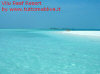 Foto 16-vilu reef vista lingua sabbia sud-ovest.jpg (44973 byte)
