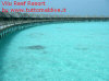 Foto 22-vilu reef vista water villa3.jpg (77519 byte)