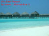 Foto 23-vilu reef vista water villa4.jpg (50140 byte)