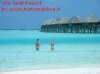 Foto 24-vilu reef vista water villa 3.jpg (57366 byte)