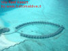 Foto 3-vilu reef water villa vista aerea.jpg (62932 byte)