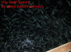 Foto 41-vilu reef pesci al molo1.jpg (94163 byte)