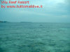 Foto 44-vilu reef vista delfino.jpg