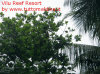 Foto 46-vilu reef pipistrello.jpg 
