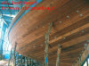 Foto 49-vilu reef isola pescatori3.jpg 