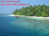 isole maldive fotografie video informazioni consigli utili vilu reef resort isola di meedhufushi atollo di nilandhoo sud by Barbara e Giuseppe nel gennaio 2007
