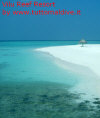 Foto 56-vilu reef isola deserta 2 spiaggia2.jpg 