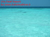 Foto 57-vilu reef isola deserta 2 mare.jpg 