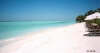 foto photo informazioni isole maldive white sands resort isola di dhidhdhoo finolhu atollo di ari sud by Elena&Gianluca aprile 2005
