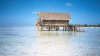 foto photo informazioni isole maldive white sands resort isola di dhidhdhoo finolhu atollo di ari sud by Elena&Gianluca aprile 2005