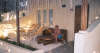 foto photo informazioni isole maldive white sands resort isola di dhidhdhoo finolhu atollo di ari sud by Elena&Gianluca aprile 2005