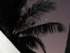 foto photo informazioni isole maldive white sands resort isola di dhidhdhoo finolhu atollo di ari sud by Elena&Gianluca aprile 2005