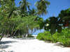 foto photo informazioni isole maldive white sands resort isola di dhidhdhoo finolhu atollo di ari sud by Elena&Gianluca aprile 2005