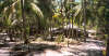 foto photo informazioni isole maldive white sands resort isola di dhidhdhoo finolhu atollo di ari sud by Elena&Gianluca aprile 2005