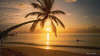 foto photo informazioni isole maldive white sands resort isola di dhidhdhoo finolhu atollo di ari sud by Elena&Gianluca aprile 2005