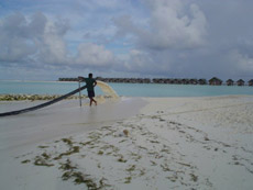 fotografie informazioni isole maldive white sands resort isola di dhidhdhoo finolhu atollo di ari sud by Micaela marzo 2006