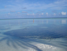fotografie informazioni isole maldive white sands resort isola di dhidhdhoo finolhu atollo di ari sud by Micaela marzo 2006