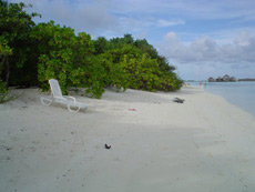 fotografie informazioni isole maldive white sands resort isola di dhidhdhoo finolhu atollo di ari sud by Micaela marzo 2006