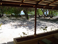 fotografie informazioni isole maldive white sands resort isola di dhidhdhoo finolhu atollo di ari sud by Micaela marzo 2006